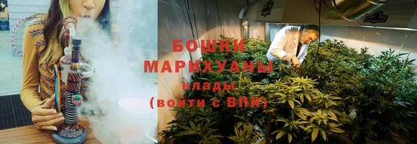 индика Волосово